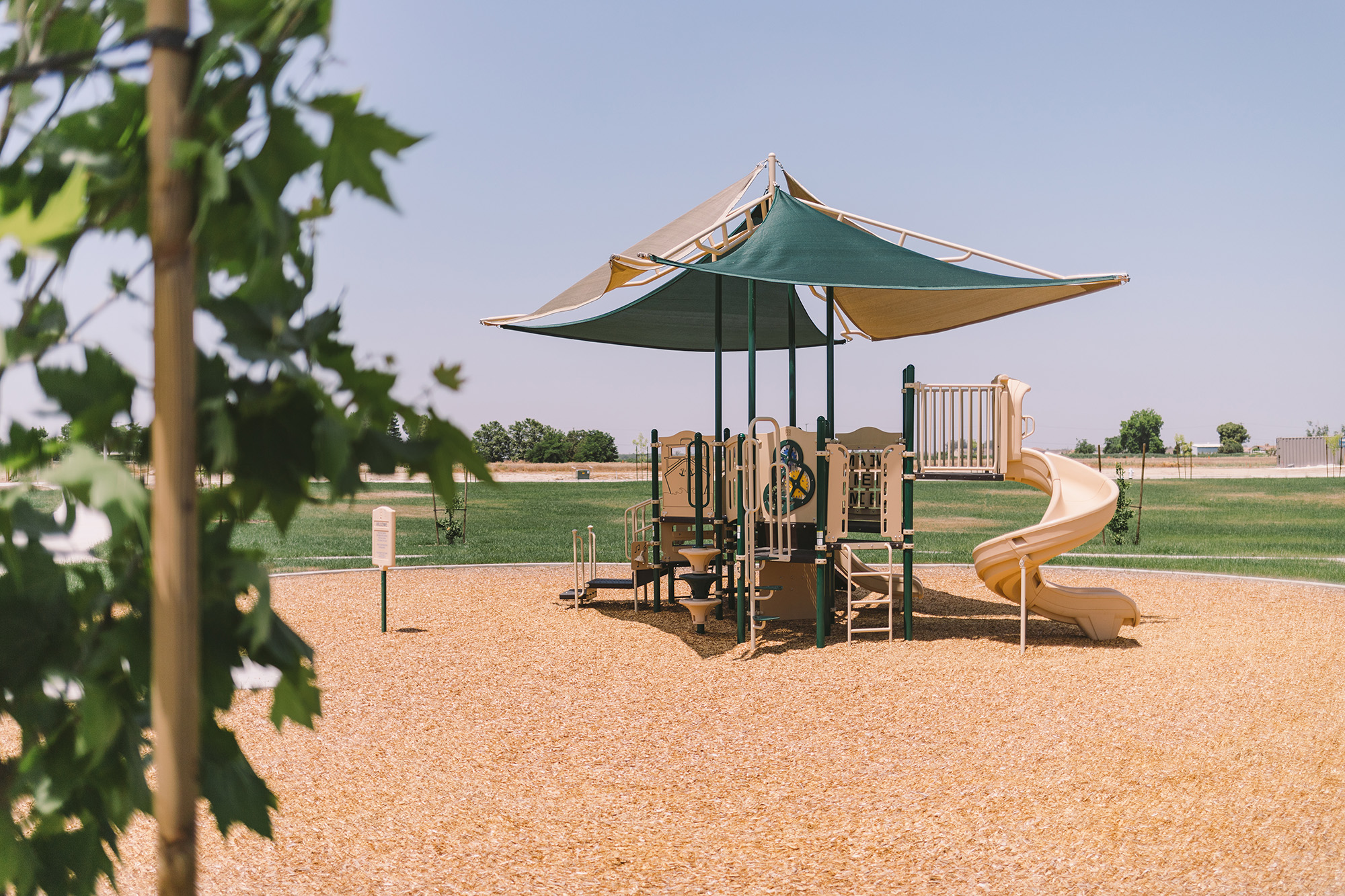 Live Oak Park 0523 (3)